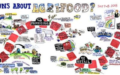 Case Study: Calgary Stampede Graphic Recording