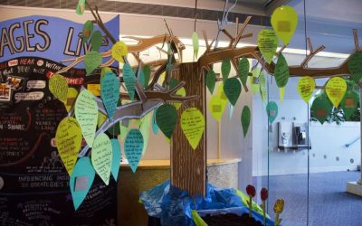 Case Study: Knowledge Wall and Language Tree