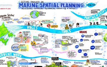graphic recording marine spatial planning, climate action in community, live illustration, live drawing, visual notes, sketchnotes, knowledge wall, graphic facilitation
