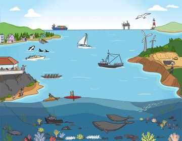 Ocean scene showing different uses of waterways and ocean by boats, wildlife, recreation