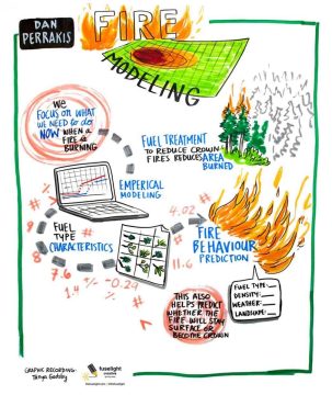 graphic recording wild fires, live illustration, live drawing, visual notes, sketchnotes, knowledge wall, graphic facilitation