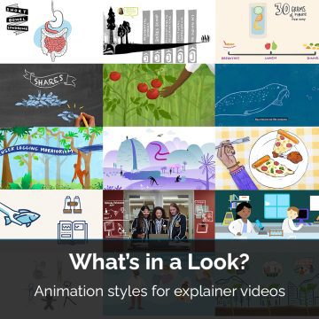 Animation styles, animated explainer videos, animations vancouver bc, animations victoria bc, explainer videos, 2D animation, chalkboard animations, motion graphics animator