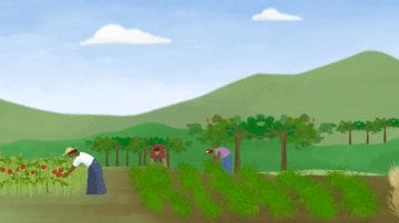 explainer video on agriculture, agriforce animation, greenhouse food animation, explainer video