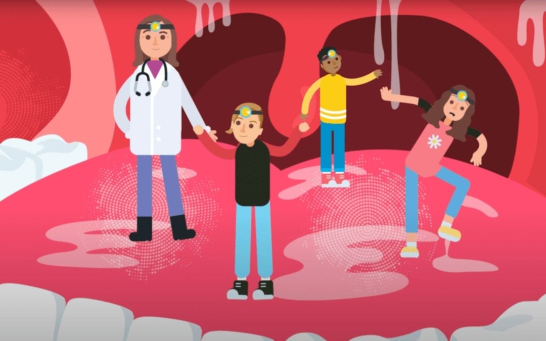 Understanding Digestion (Educational Videos for Children)