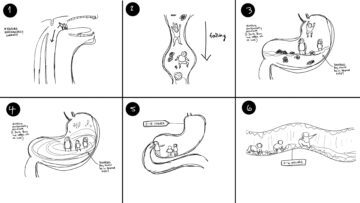 Rough storyboarding for an animation