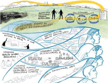 Second draft of an infographic illustration on Indigenous Health Legislation