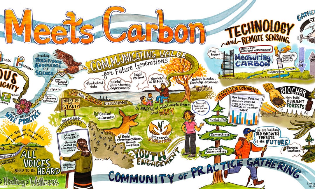 WWF-Canada: Nature Meets Carbon Community of Practice Gathering