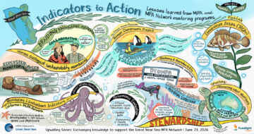 Graphic recording of a series of presentation from the June 2026 Upwelling Knowledge Exchange gathering regarding lessons learned from MPA and MPA Network monitoring programs