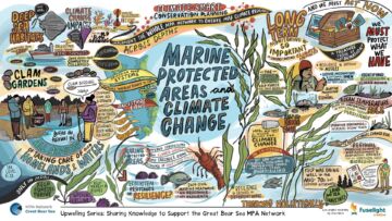 Graphic recording of a series of presentation from the Sept 2025 Upwelling Knowledge Exchange gathering regarding lessons learned from MPA and MPA Network monitoring programs