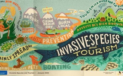 What Style of Graphic Recording Does Your Event Need?
